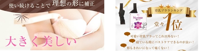 ����u���E�i�C�g�u�� �yMoriage�i�����A�Q�j�����u���z���T�C�g